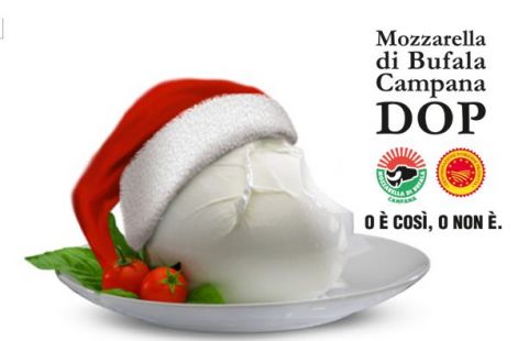 E per il menù delle feste lasciati ispirare, dalla freschezza della Mozzarella di  Bufala Dop. Eccoti qui tantissime idee.